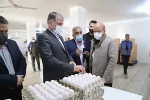 توسعه کشت گیاهان دارویی، گلخانه ها و دامپروری اولویت&zwnj;های وزارت جهاد کشاورزی در استان یزد