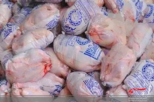 تلاش مضاعف برای تنظیم بازار و عرضه گوشت مرغ در سیستان و بلوچستان