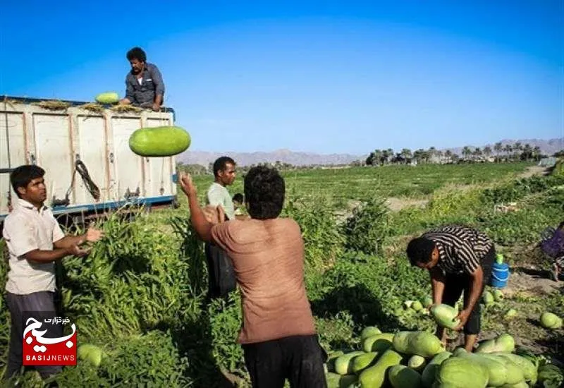 اعتصاب کامیون داران در میداوود باغملک پس از ۱۰ روز شکسته شد