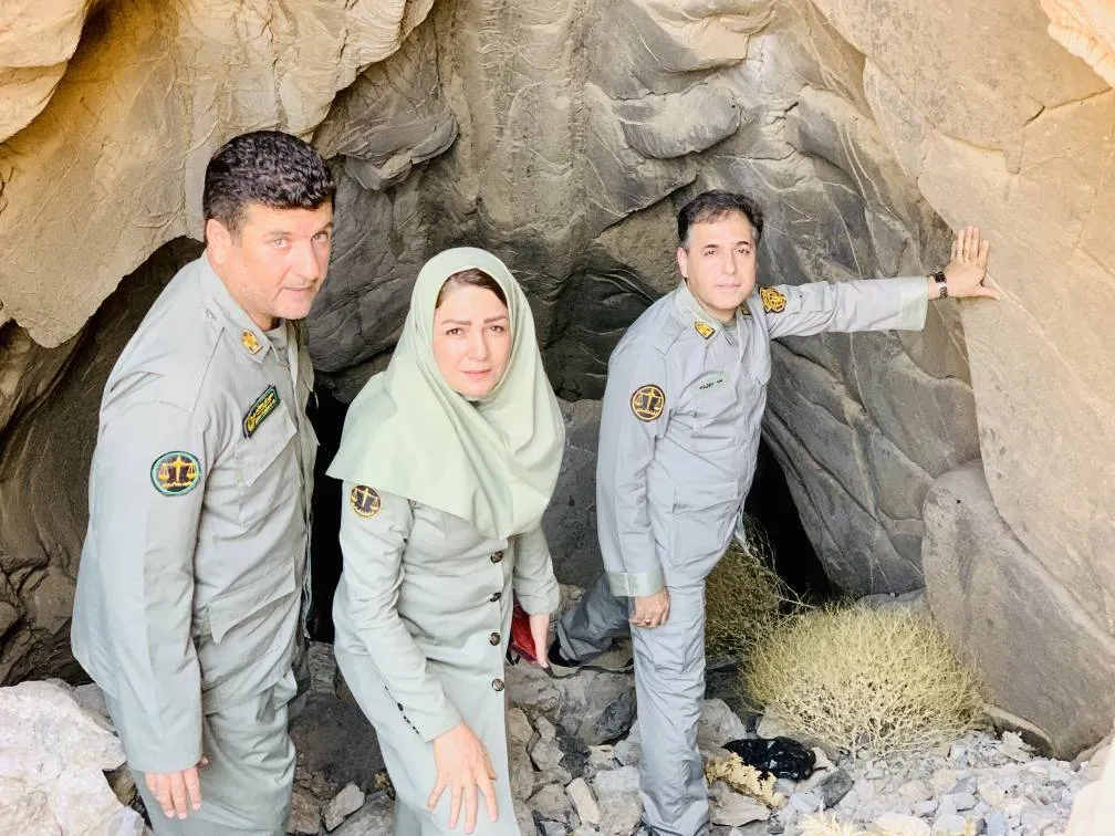 لدالب