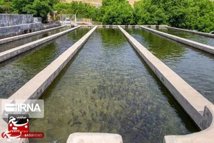 صادرات آبزیان خوزستان ۱۲۴ هزار دلار ارزآوری داشت