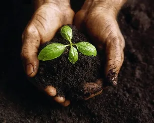 خاک&zwnj;شناسی، سنگ بنای برنامه&zwnj;ریزی کشاورزی در خوزستان است