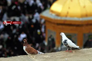 اعزام حلقات ویژه صالحین همدان به مشهد مقدس