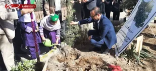 نواختن زنگ درختکاری در شاهرود