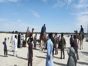مسابقات شتر سواری در شهرستان چابهار برگزار گردید