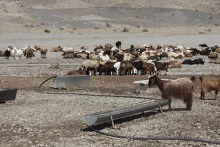 بهره برداری از طرح تامین آب آشامیدنی عشایر منطقه "چاه بابیا" شاهرود