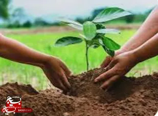دعوت به مشارکت در روز درختکاری؛ گام به سوی آینده&zwnj;ای سبزتر در بوستان کرامت