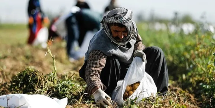 اجرای طرح «یاریگران زندگی روستا» در استان ایلام