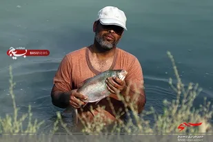 کمک به اشتغال&zwnj;آفرینی جوانان توسط بسیج سازندگی شهرستان دشتستان/ پرورش سالیانه ۵ تن ماهی گرم آبی توسط کارآفرین دشتستانی
