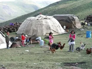 طرح پوشش بیمه ای عشایر استان قزوین آغاز شد