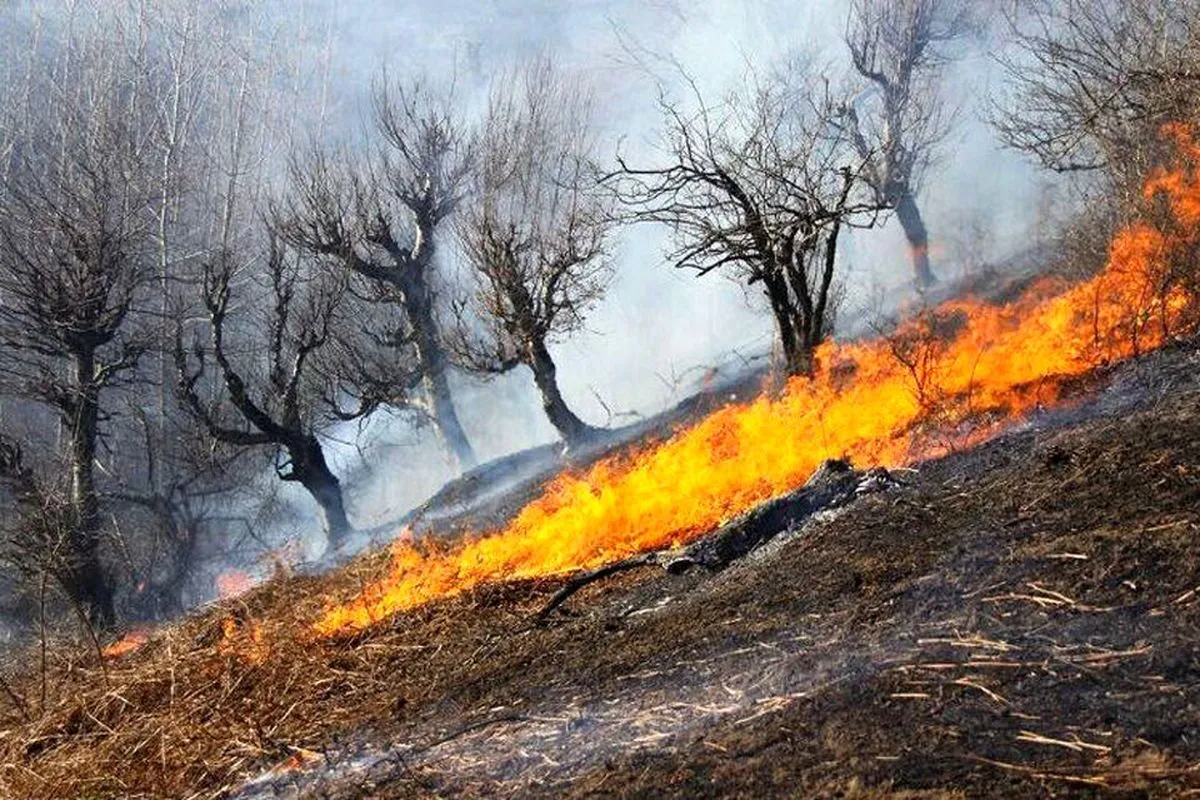 اجرای برنامه‌های آموزشی مقابله با آتش‌سوزی در روستاهای اندیکا