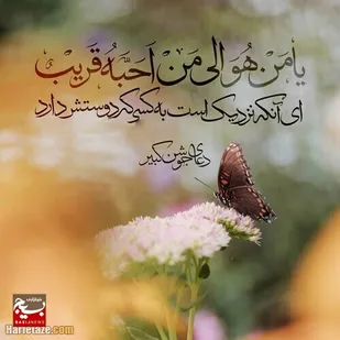 &laquo;قرار بندگی&raquo;