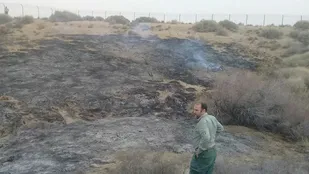 ۲ هکتار از سایت پرورش آهو چشمه گل تربت&zwnj;جام طعمه حریق شد