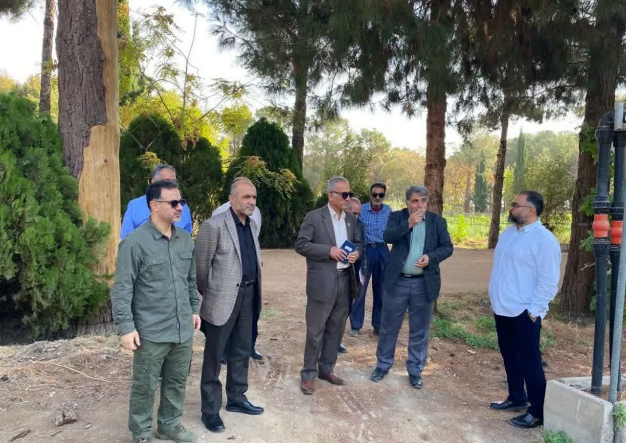 تأکید سازمان منابع طبیعی بر تولید نهال‌های سازگار با اقلیم در استان سمنان
