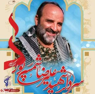 تقدیر خانواده شهید &laquo;شمسی&zwnj;پور&raquo; از حضور مردم همدان در مراسم تشییع