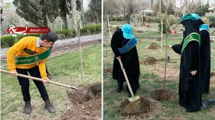 کاشت ۲۵۰ نهال مثمر با مشارکت شهرداران مدارس و شهروندان فعال منطقه ۱۴