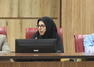 درخواست تدوین برنامه ملی برای پایش آثار آلودگی&zwnj;ها بر سلامت زنان ایلام