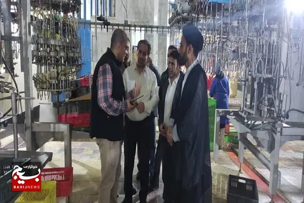 رونق تولید در کوه چنار با حمایت از کارآفرینان