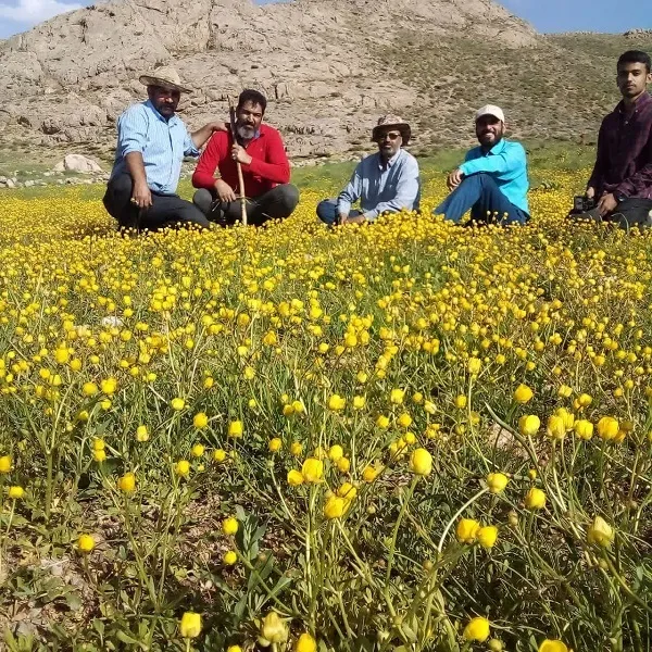 اردوی خانوادگی فرهنگی، سیاحتی بسیجیان و رزمندگان گردان