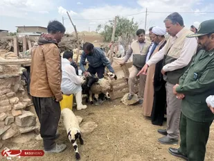 بسیج مهندسین کشاورزی ومنابع طبیعی به منطقه محروم گوراب زرند اعزام شدند
