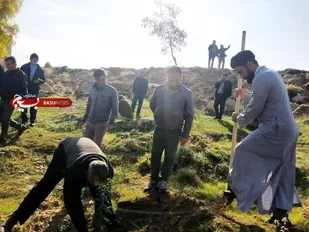*آغاز هفته درخت کاری در کوه چنار با کاشت نهال در تپه نورالشهدا