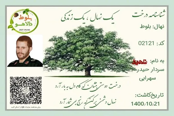 غرس نهال بلوط به یاد سردار شهید نهاوندی در کوه‌های دالاهو