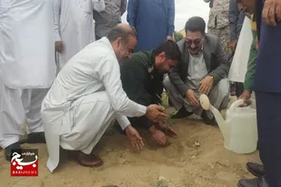 کاشت نهال هم عهدی با شهدا در شهرستان چابهار