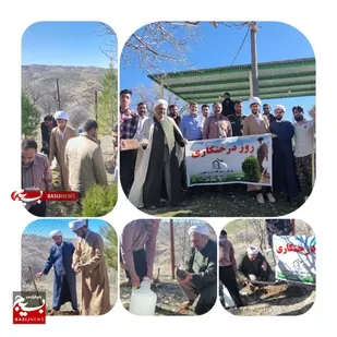 کاشت 1500 درخت به نیابت از شهدا