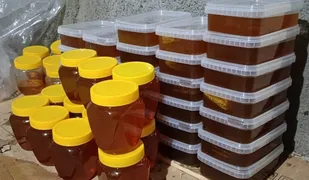 تسهیلاتی که مسیر اشتغال ۱۰۰ نفر را هموار کرد