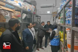 معدوم&zwnj;سازی بیش از دو و نیم&zwnj;تن گوشت سفید غیرقابل&zwnj;مصرف در زاهدان