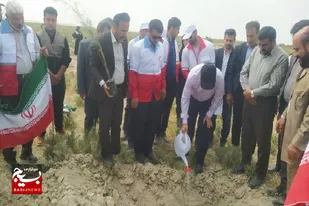 کاشت صد نهال در روستای منصوری جنوبی تنگستان