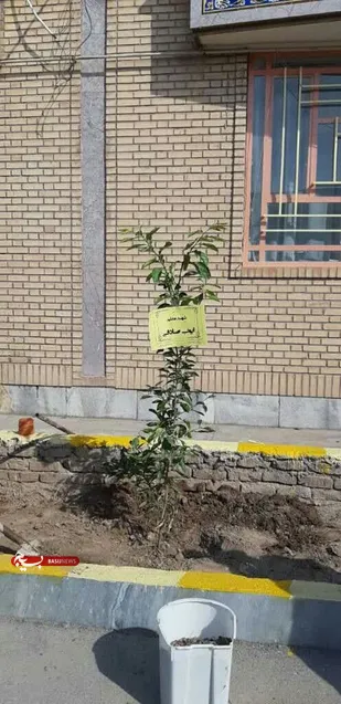 کاشت گل یا نهال به نام شهدای دانش آموز در محوطه مدارس گرمسار+تصاویر