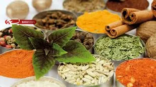 پزشکان بر مبنای طب سنتی آموزش ببینند/ استقبال کشورهای اروپایی از طب سنتی