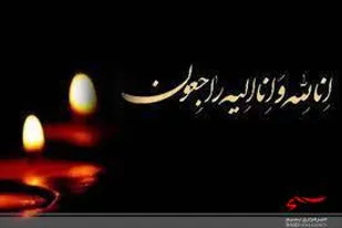 پیام تسلیت سپاه ثارالله در پی عروج پدرشهید غلامرضا محمد شیرازی