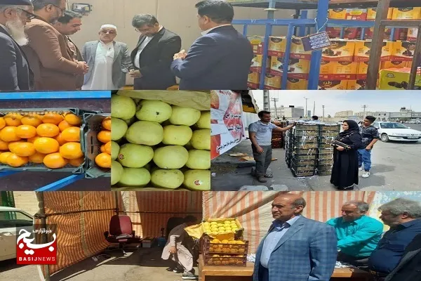 آغاز توزیع میوه تنظیم بازار شب عید از ۲۶ اسفند در سیستان‌وبلوچستان