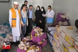 سه تن فرآورده خام دامی غیرقابل&zwnj;مصرف در زاهدان معدوم شد