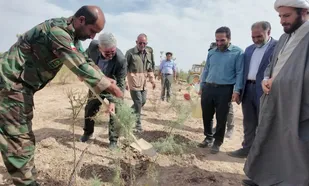 پویش نهال&zwnj;کاری به مناسبت روز ملی روستا و عشایر در روستای علا برگزار شد