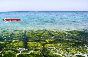 امضای تفاهم&zwnj;نامه همکاری محیط زیست خوزستان و دانشگاه دریایی خرمشهر