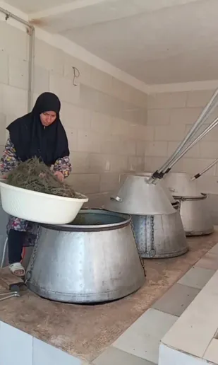 عطر خودباوری در کالپوش؛ بانویی که با گیاهان دارویی، چرخ اقتصاد روستا را به حرکت درآورد