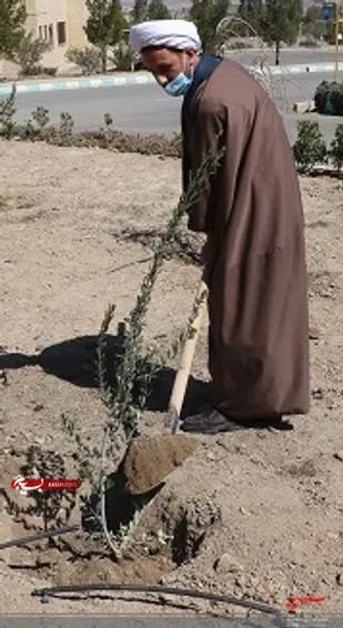 فرمانده لشکر 14 امام حسین (علیه السلام)عنوان کرد:هر درخت به تنهایی یک زندگی است.