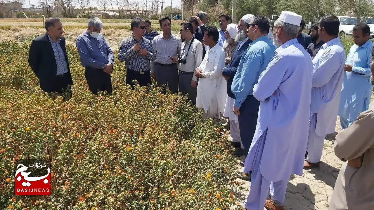برگزاری ۲۶کارگاه طرح جهاد میدانی محققان در سیستان و بلوچستان