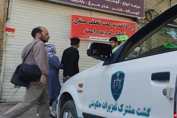 پلمب و نصب پرده قصابی متقلب در همدان