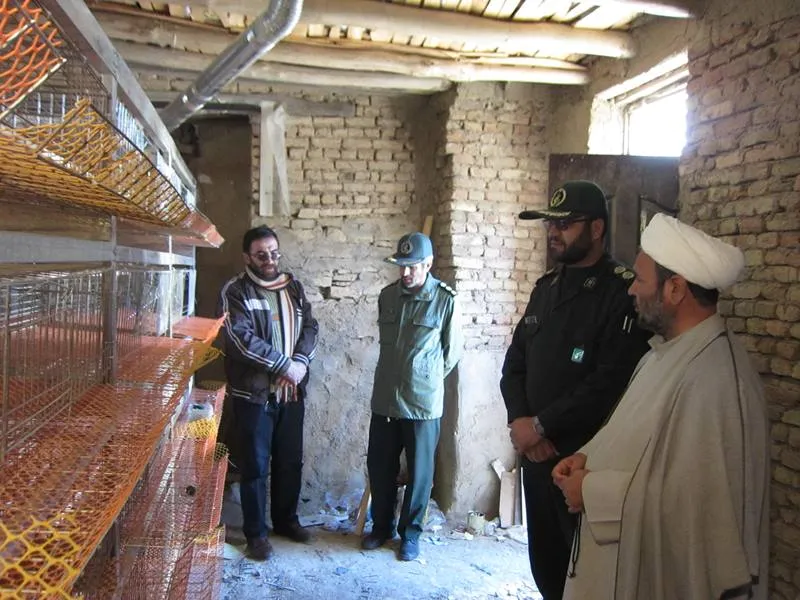 افتتاح سوله پرورش بلدرچین در روستای امزاجرد همدان