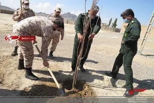 کاشت درخت به مناسبت روز درخت کاری در سپاه خواف