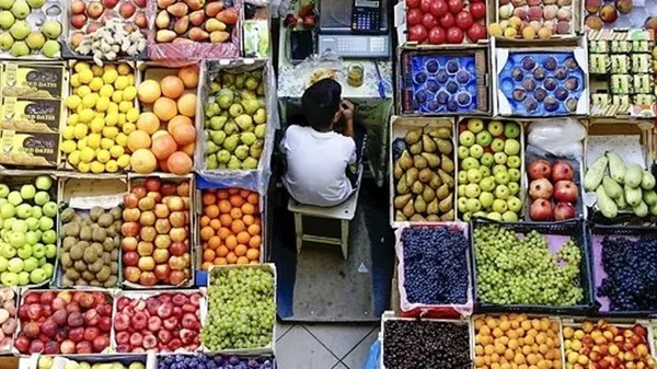 دانشگاه 