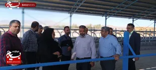 تولید انگور داربستی در شاهرود/ایجاد سیستم نوین پرورش گاو شیری