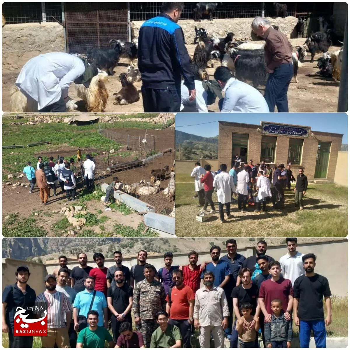 اردوی جهادی دامپزشکی در مناطق عشایری اندیکا