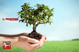 بسیج خمین در مسیر تحقق کاشت 4 میلیون اصل نهال