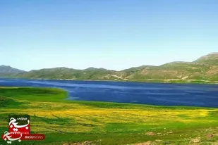 مجوزهای صید تالاب نئور با ملاحظات زیست&zwnj;محیطی صادر می&zwnj;شود