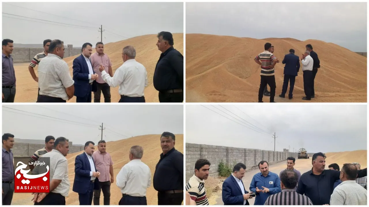بهبهان قطب برداشت گندم و کشاورزی در استان خوزستان